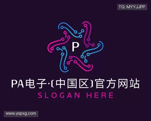 认识PA电子